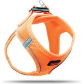 Tailpetz Air-Mesh Harness Köpek Göğüs Tasması Neon Turuncu S